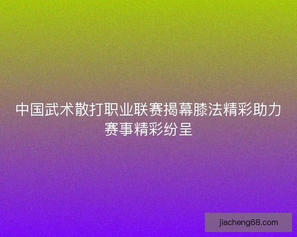 中国武术散打职业联赛揭幕膝法精彩助力赛事精彩纷呈